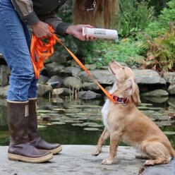Water & Woods Nylon Dog Check Cord slide 2 of 6