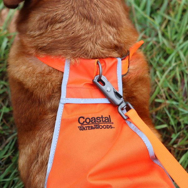 Water & Woods Reflective Dog Leash