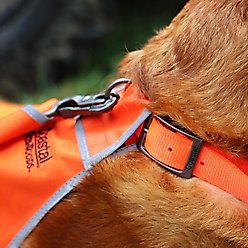 Water & Woods Reflective Dog Safety Vest, Medium slide 2 of 6