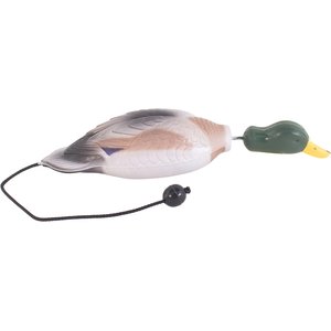 Water & Woods Tethered-Head Foam Fowl Dog Trainer, Mallard, Medium