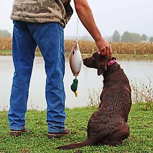 Water & Woods Tethered-Head Foam Fowl Dog Trainer, Mallard, Medium