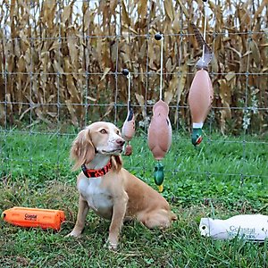 Water & Woods Tethered-Head Foam Fowl Dog Trainer, Mallard, Medium