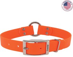 Water & Woods Waterproof Hound Dog Collar, Orange, Medium: 18-in neck, 1-in wide