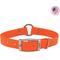 Show in main carousel: Water & Woods Waterproof Hound Dog Collar, Orange, Medium: 18-in neck, 1-in wide slide 1 of 4