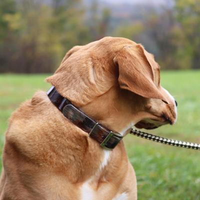 Show full view: Water & Woods Waterproof Hound Dog Collar, Shadow Grass Blades, Medium: 18-in neck, 1-in wide slide 5 of 7