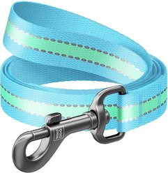 WAUDOG Glow in the Dark Nylon Dog Leash, Blue, Large: 4-ft long, 1-in wide