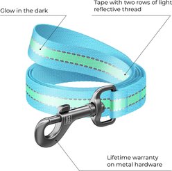 WAUDOG Glow in the Dark Nylon Dog Leash, Blue, Large: 4-ft long, 1-in wide slide 2 of 6
