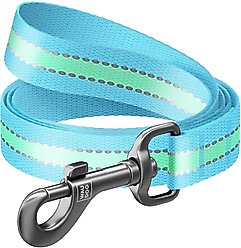 WAUDOG Glow in the Dark Nylon Dog Leash, Blue, Medium: 4-ft long, 3/4-in wide