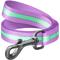 Show in main carousel: WAUDOG Glow in the Dark Nylon Dog Leash, Purple, Large: 4-ft long, 1-in wide slide 1 of 6