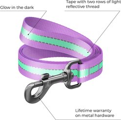 WAUDOG Glow in the Dark Nylon Dog Leash, Purple, Medium: 4-ft long, 3/4-in wide slide 2 of 6