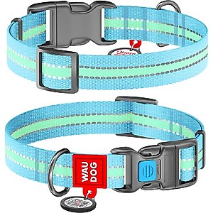 WAUDOG Glow in the Dark QR Passport Nylon Standard Dog Collar, Blue, Medium: 9 1/2 to 15 3/4-in neck, 3/4-in neck