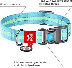 WAUDOG Glow in the Dark QR Passport Nylon Standard Dog Collar, Blue, Medium: 9 1/2 to 15 3/4-in neck, 3/4-in neck slide 2 of 7