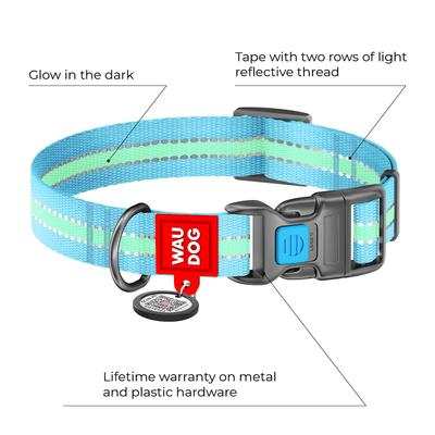 Show full view: WAUDOG Glow in the Dark QR Passport Nylon Standard Dog Collar, Blue, Medium: 9 1/2 to 15 3/4-in neck, 3/4-in neck slide 2 of 8