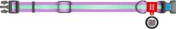 WAUDOG Glow in the Dark QR Passport Nylon Standard Dog Collar, Purple, Medium: 9 1/2 to 15 3/4-in neck, 3/4-in neck slide 2 of 7
