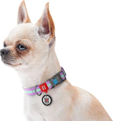 Show full view: WAUDOG Glow in the Dark QR Passport Nylon Standard Dog Collar, Purple, X-Large: 13 3/4 to 22 3/4-in neck, 1-in wide slide 6 of 8