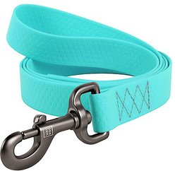 WAUDOG Glows In The Dark Dog Leash, 4-ft long, 9/16-in wide