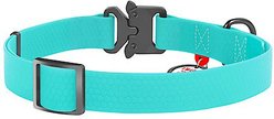 WAUDOG Glows In The Dark Waterproof Buckle Dog Collar, 10 to 16-in neck, 13/16-in wide slide 2 of 7