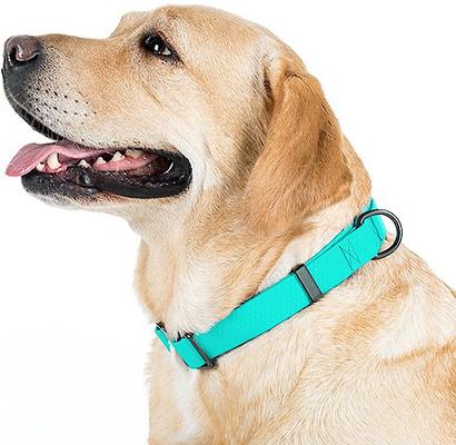Show full view: WAUDOG Glows In The Dark Waterproof Buckle Dog Collar, 10 to 16-in neck, 13/16-in wide slide 7 of 8