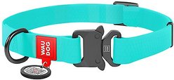 WAUDOG Glows In The Dark Waterproof Buckle Dog Collar, 11 to 19-in neck, 1-in wide