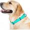 Show in main carousel: WAUDOG Glows In The Dark Waterproof Buckle Dog Collar, 11 to 19-in neck, 1-in wide slide 7 of 8