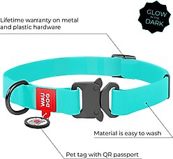 WAUDOG Glows In The Dark Waterproof Buckle Dog Collar, 14 to 23-in neck, 1-in wide slide 2 of 6