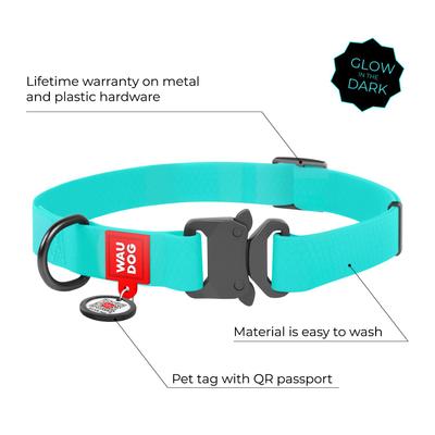 Show full view: WAUDOG Glows In The Dark Waterproof Buckle Dog Collar, 14 to 23-in neck, 1-in wide slide 2 of 7