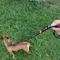 Show in main carousel: WAUDOG NASA Nylon Standard Dog Leash, Medium: 4-ft long, 13/16-in wide slide 5 of 6