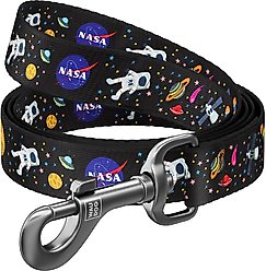 WAUDOG NASA Nylon Standard Dog Leash, Small: 4-ft long, 9/16-in wide
