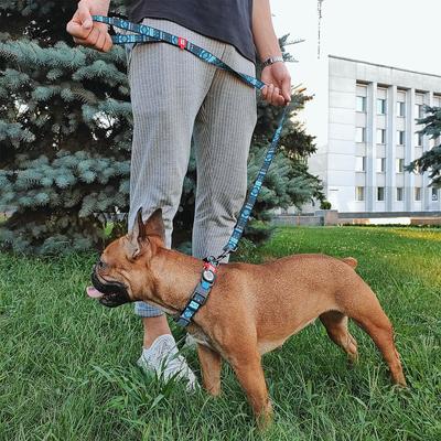 Show full view: WAUDOG Nylon dog leash, Etno Blue, Small slide 5 of 7