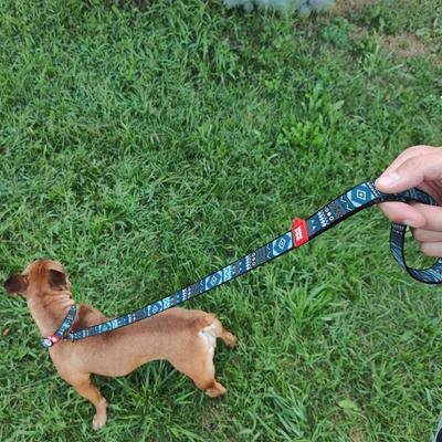 Show full view: WAUDOG Nylon dog leash, Etno Blue, Small slide 6 of 7