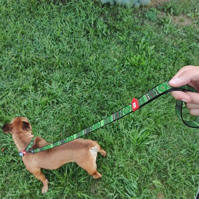 Show full view: WAUDOG Nylon dog leash, Etno Green, Small slide 6 of 7