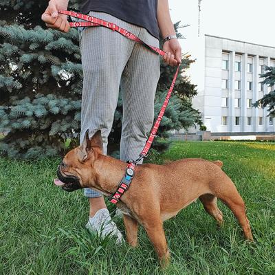 Show full view: WAUDOG Nylon dog leash, Etno Red, Large slide 5 of 7
