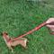 Show in main carousel: WAUDOG Nylon dog leash, Etno Red, Medium slide 7 of 8