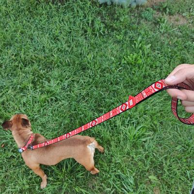Show full view: WAUDOG Nylon dog leash, Etno Red, Medium slide 7 of 8
