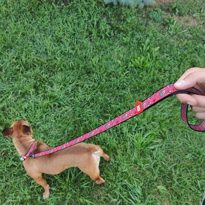Show full view: WAUDOG Nylon Dog Leash, Unicorns, Large slide 6 of 7