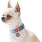 Show in main carousel: WAUDOG QR Passport Cotton Dog Collar, Blue, Large slide 5 of 7