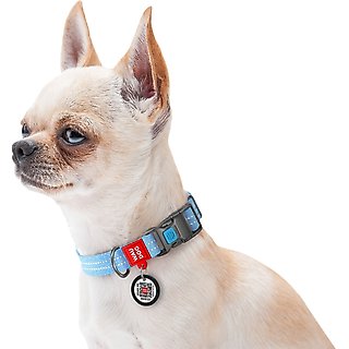WAUDOG QR Passport Cotton Dog Collar, Blue, Small slide 5 of 6
