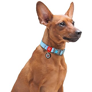 WAUDOG QR Passport Cotton Dog Collar, Blue, Small slide 6 of 6