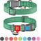 Show in main carousel: WAUDOG QR Passport Cotton Dog Collar, Green, Large slide 1 of 7