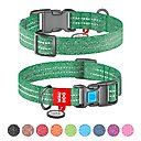 WAUDOG QR Passport Cotton Dog Collar, Green, Large
