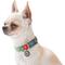 Show in main carousel: WAUDOG QR Passport Cotton Dog Collar, Green, X-Large slide 4 of 6