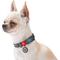 Show in main carousel: WAUDOG QR Passport Cotton Dog Collar, Grey, Small slide 5 of 7