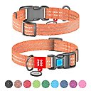 WAUDOG QR Passport Cotton Dog Collar, Orange, Large