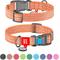 Show in main carousel: WAUDOG QR Passport Cotton Dog Collar, Orange, Medium slide 1 of 7