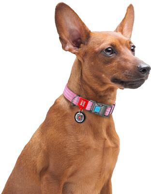 Show full view: WAUDOG QR Passport Cotton Dog Collar, Pink, Medium slide 6 of 7