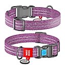 WAUDOG QR Passport Cotton Dog Collar, Purple, Large