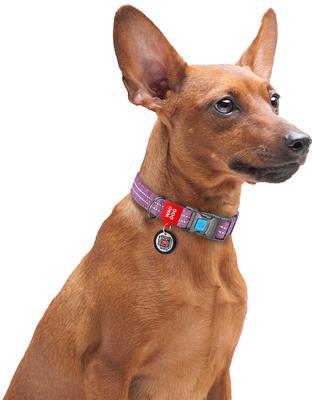 Show full view: WAUDOG QR Passport Cotton Dog Collar, Purple, Large slide 6 of 7