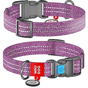 WAUDOG QR Passport Cotton Dog Collar, Purple, Medium