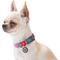 Show in main carousel: WAUDOG QR Passport Cotton Dog Collar, Purple, Small slide 5 of 7