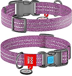 WAUDOG QR Passport Cotton Dog Collar, Purple, X-Large
